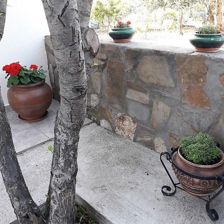 Nikiforos House Apartamento Agios Nikolaos  Exterior foto