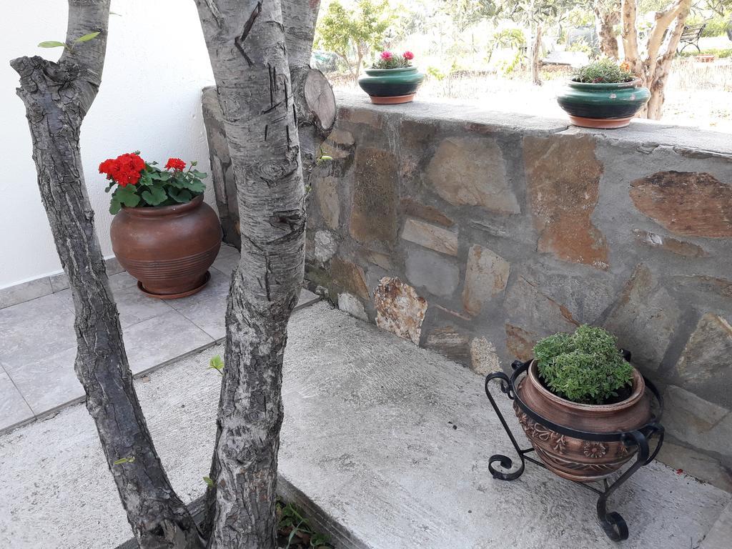 Nikiforos House Apartamento Agios Nikolaos  Exterior foto